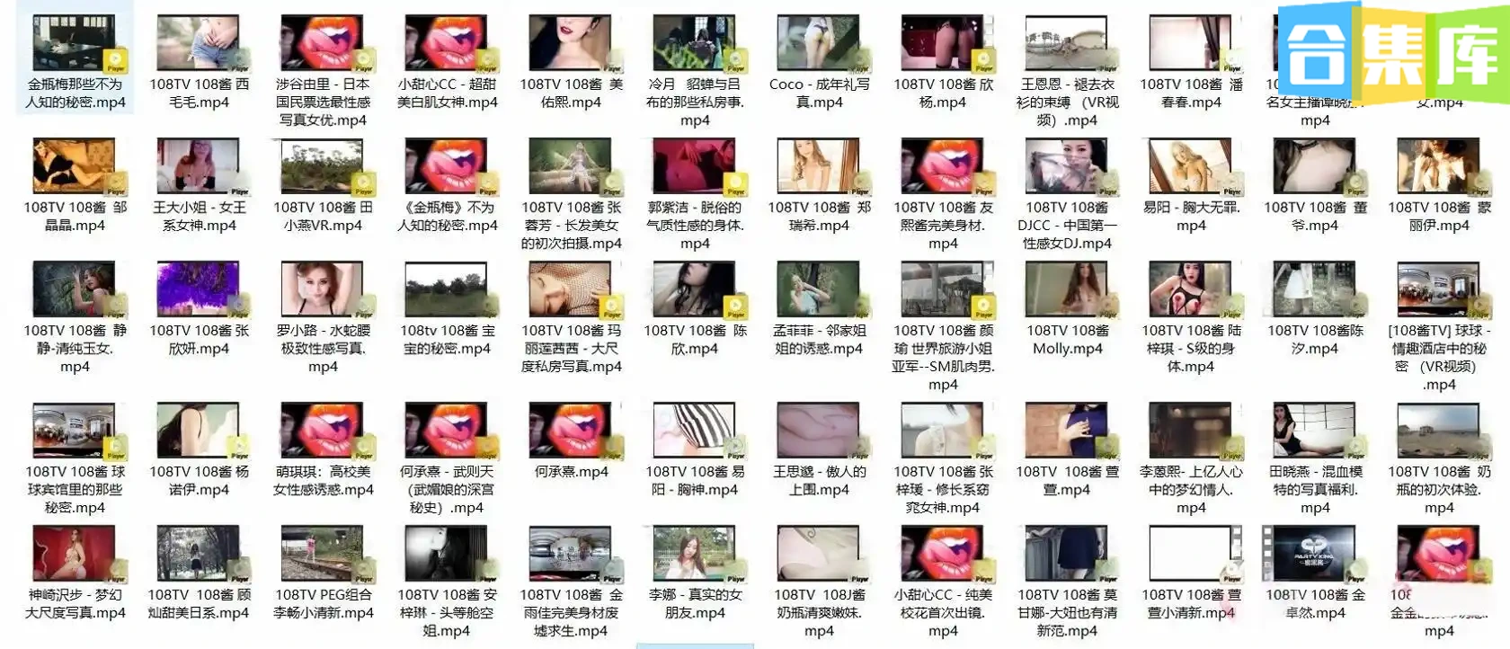 [合集]《108TV酱》视频作品144套120.89G-合集库